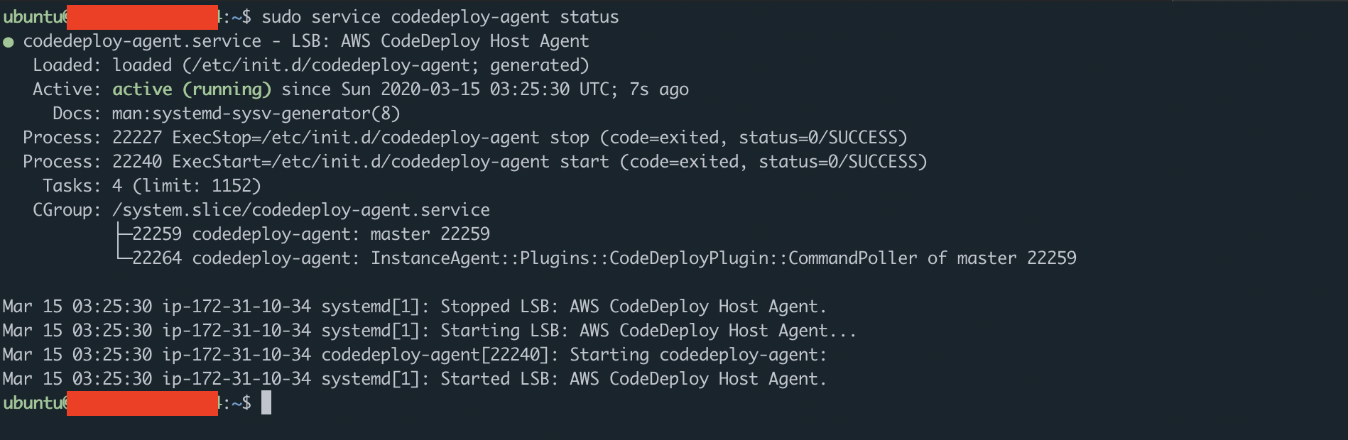 codedeploy agent 확인